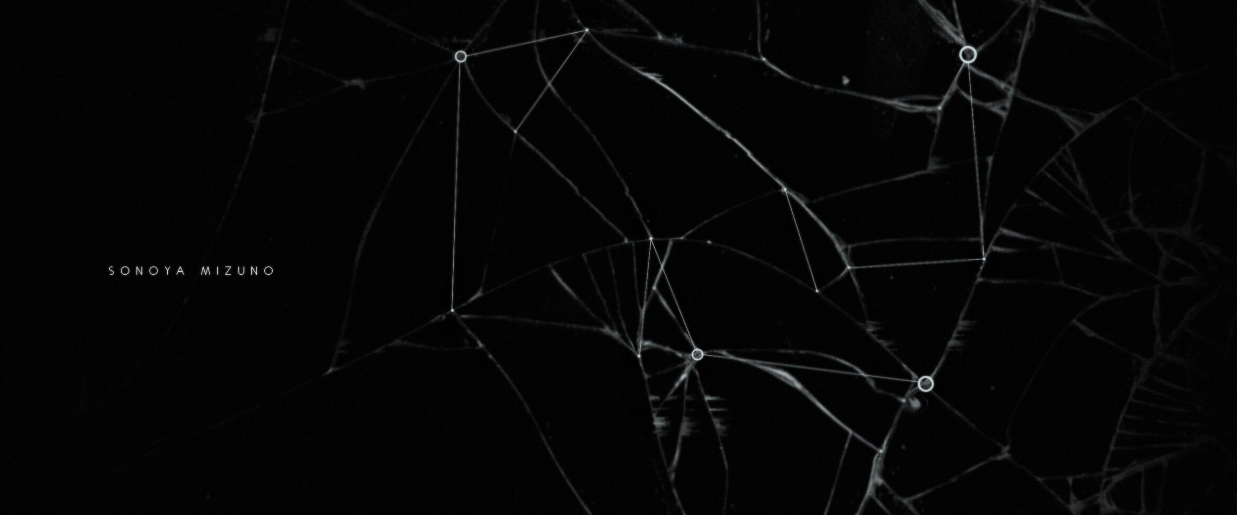 frame_10.png