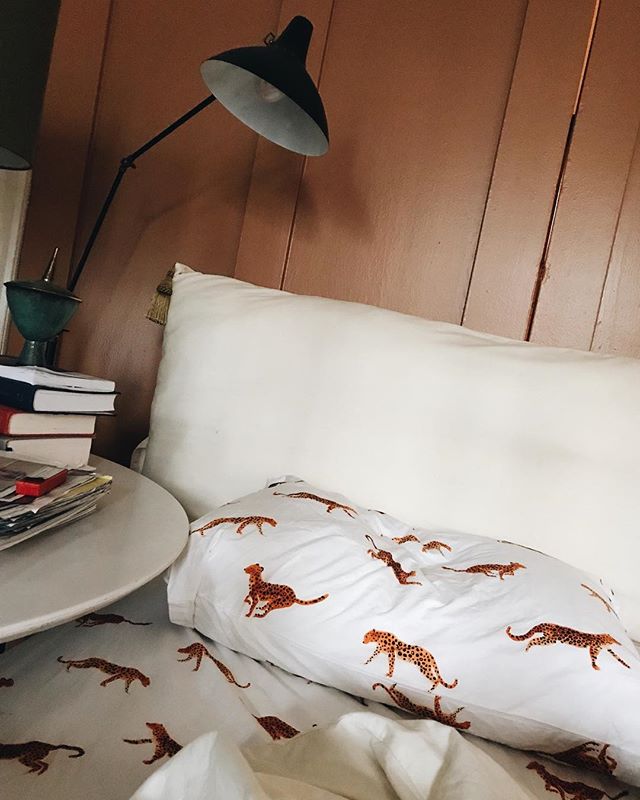 happy to be back ++ Leopard sheets have my 🖤
