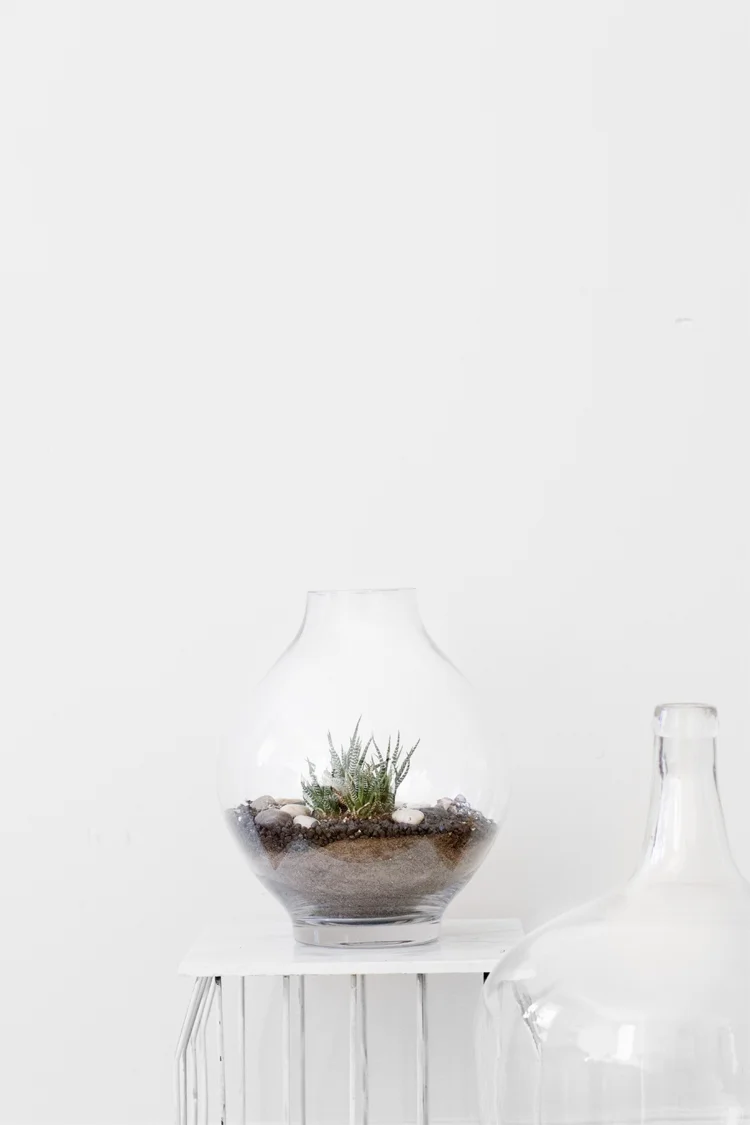 Veda House | Product Styling for Veda House Blog