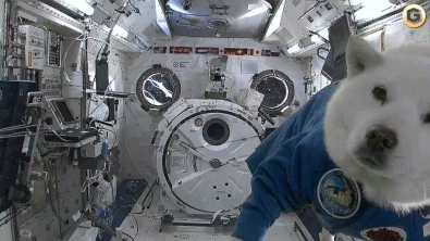 Who's in space right now and how long they've been there - answered here. Also, wanna know what it's like to live on Mars? These guys are doing it.