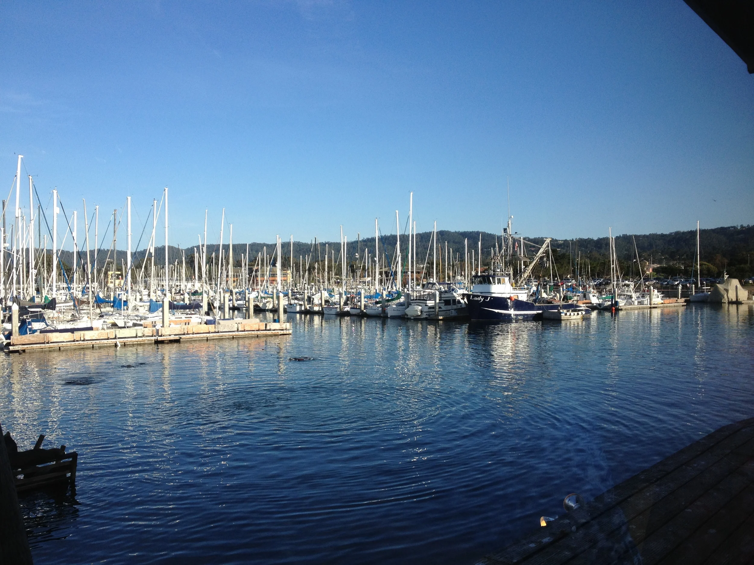 2014 Monterey Bay.JPG