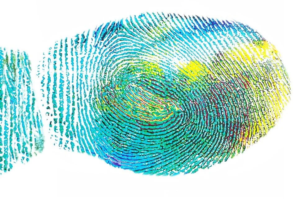 fingerprint-328992_960_720.jpg