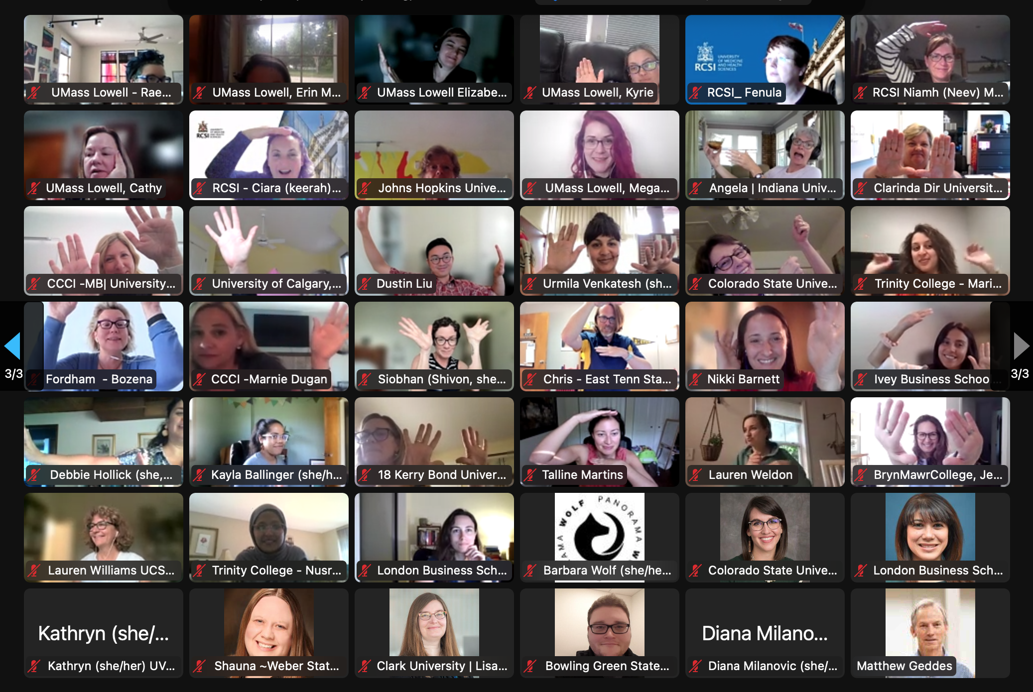 Copy of Day 3 ZOOM Gallery 1.png