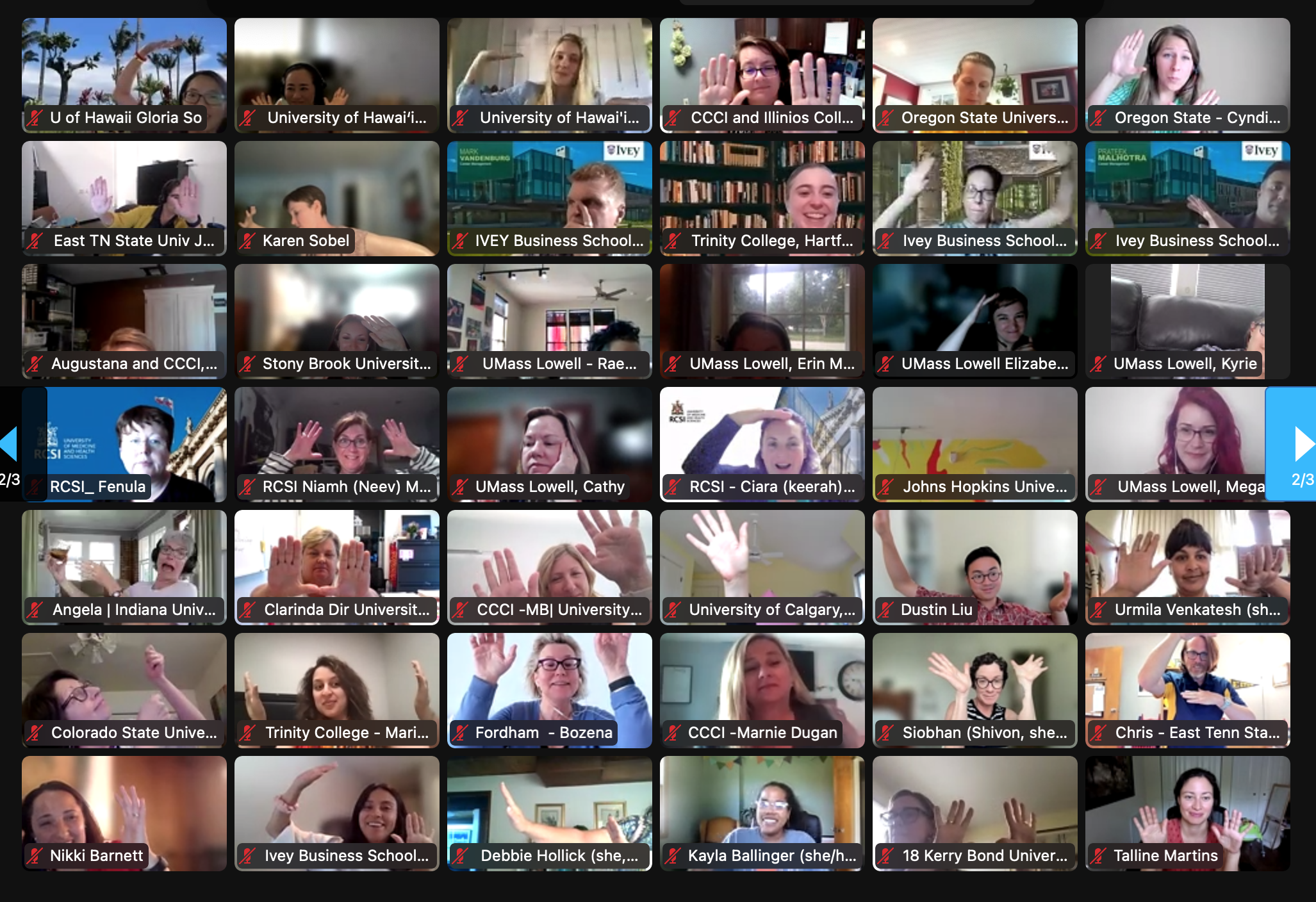 Copy of Day 3 ZOOM Gallery 2.png