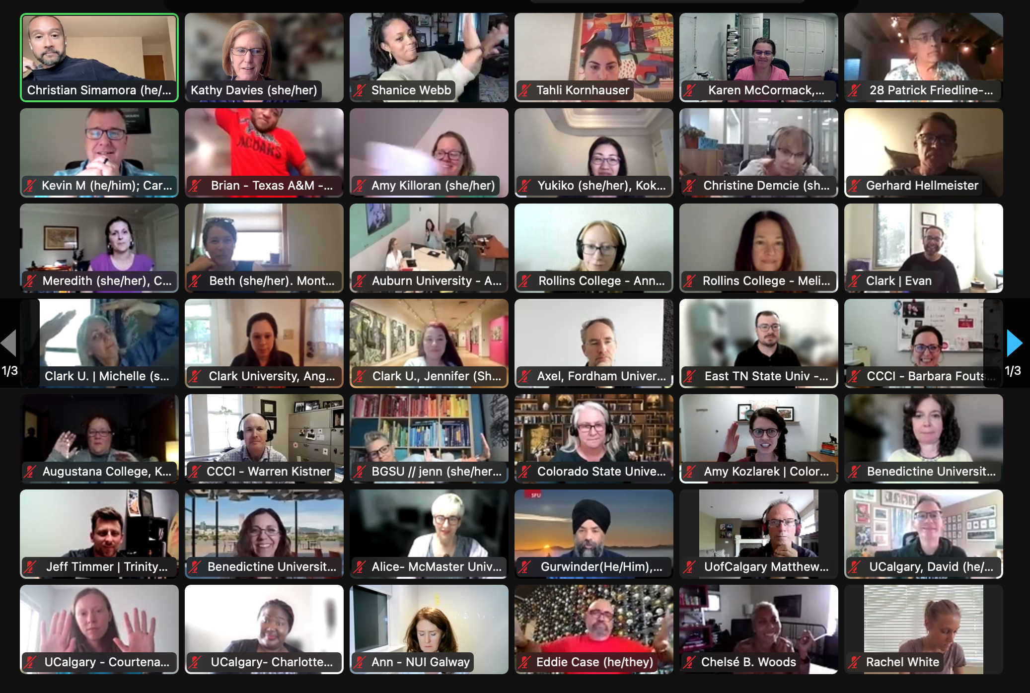 Copy of Day 3 ZOOM Gallery 3.png