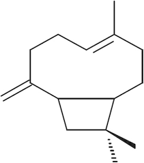 Beta Caryophyllene.png