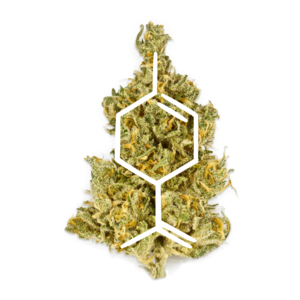 CANNABIS DERIVED TERPENES