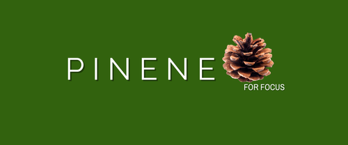 THE LEGION OF BLOOM — Exploring the Effects and Flavors of Pinene ...