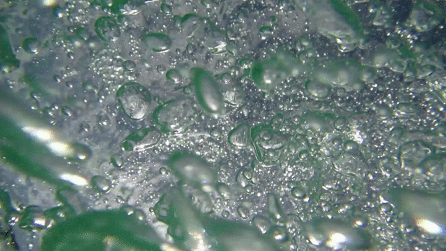 b2.gif