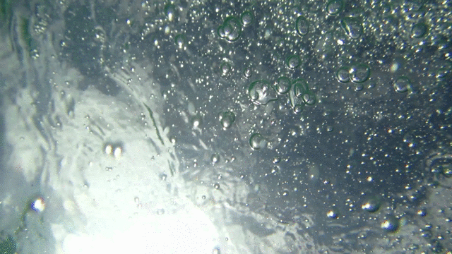 bubblesB.gif