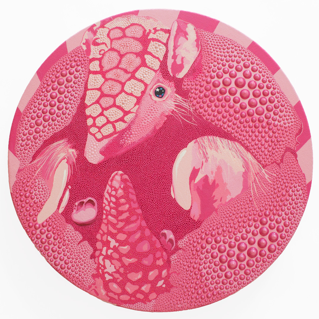 Pink Fairy Armadillo,&nbsp; 2018, acrylic, dimensional paint on canvas, 12" round