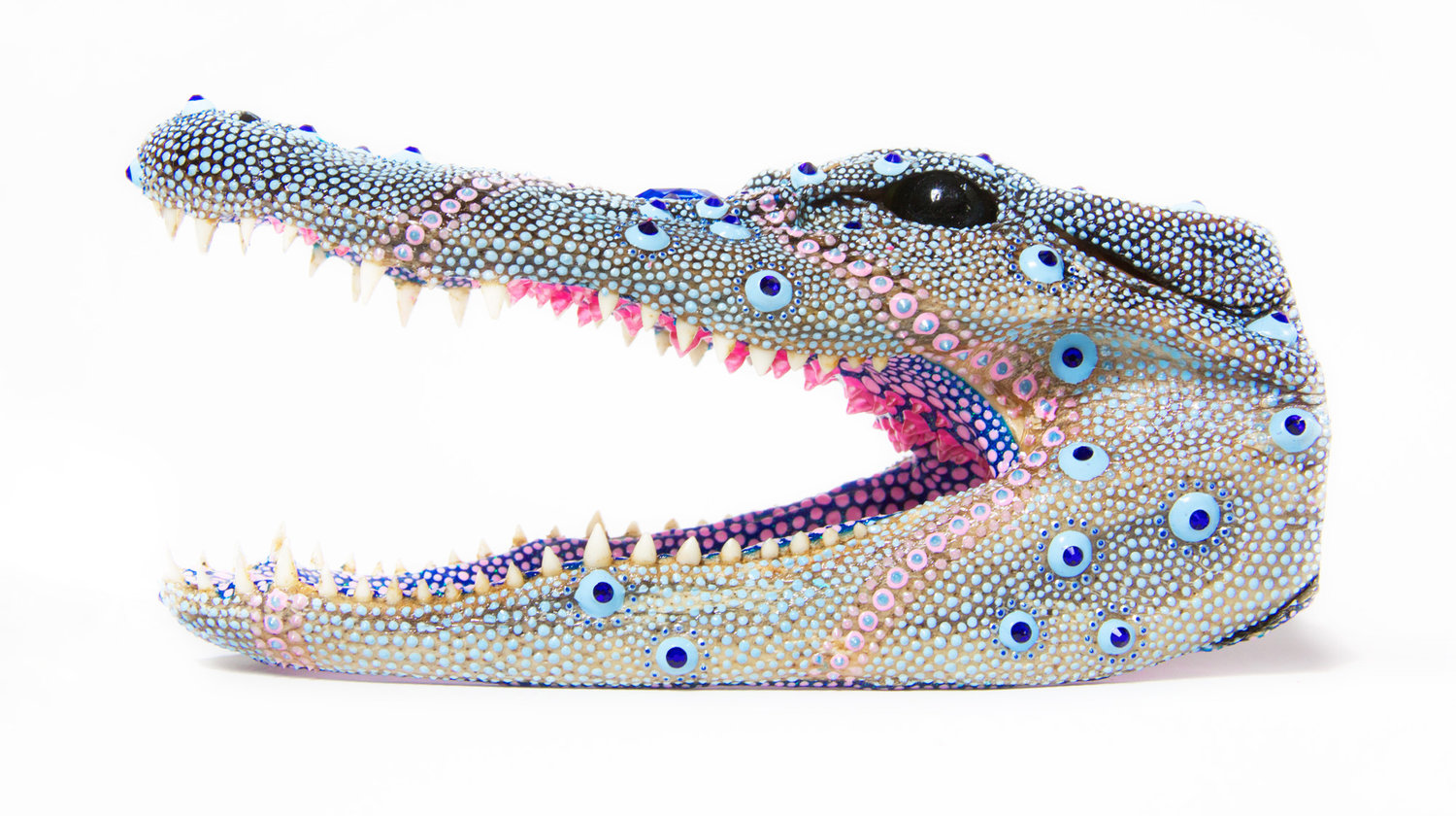 Blueberry Gator,&nbsp; 2018, acrylic, dimensional paint, Swarovski crystals, taxidermy alligator head, 3.25â x 7.25â x 3"&nbsp;