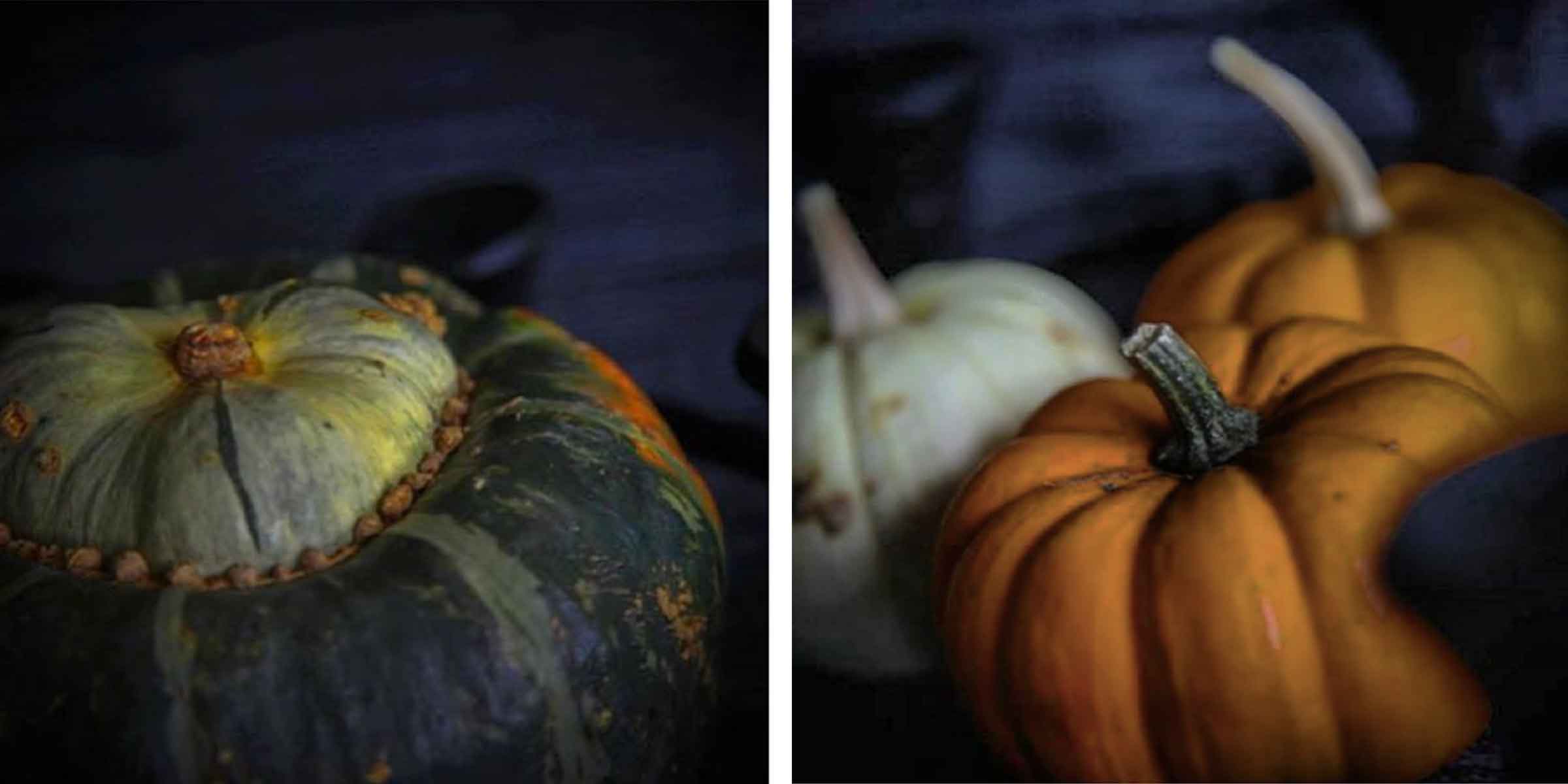 autumn.jpg
