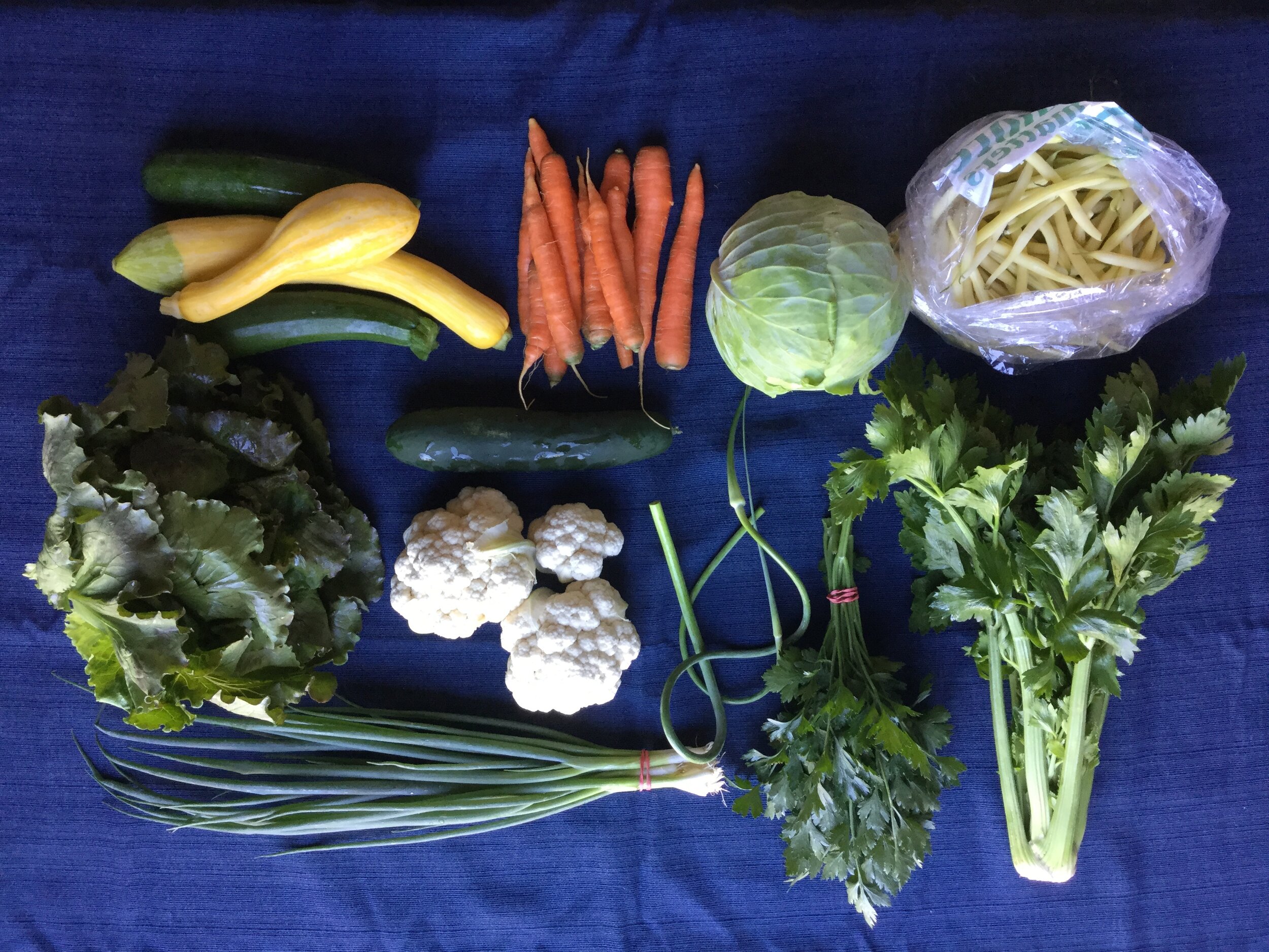 Farm Shares — Meadowlark Community Farm