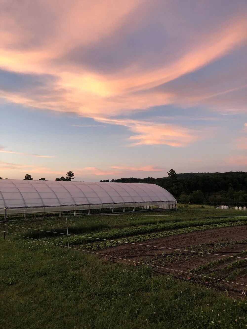 Gallery — Meadowlark Community Farm