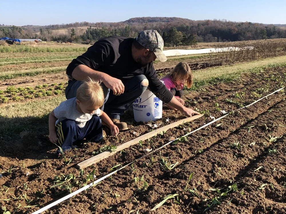 Gallery — Meadowlark Community Farm