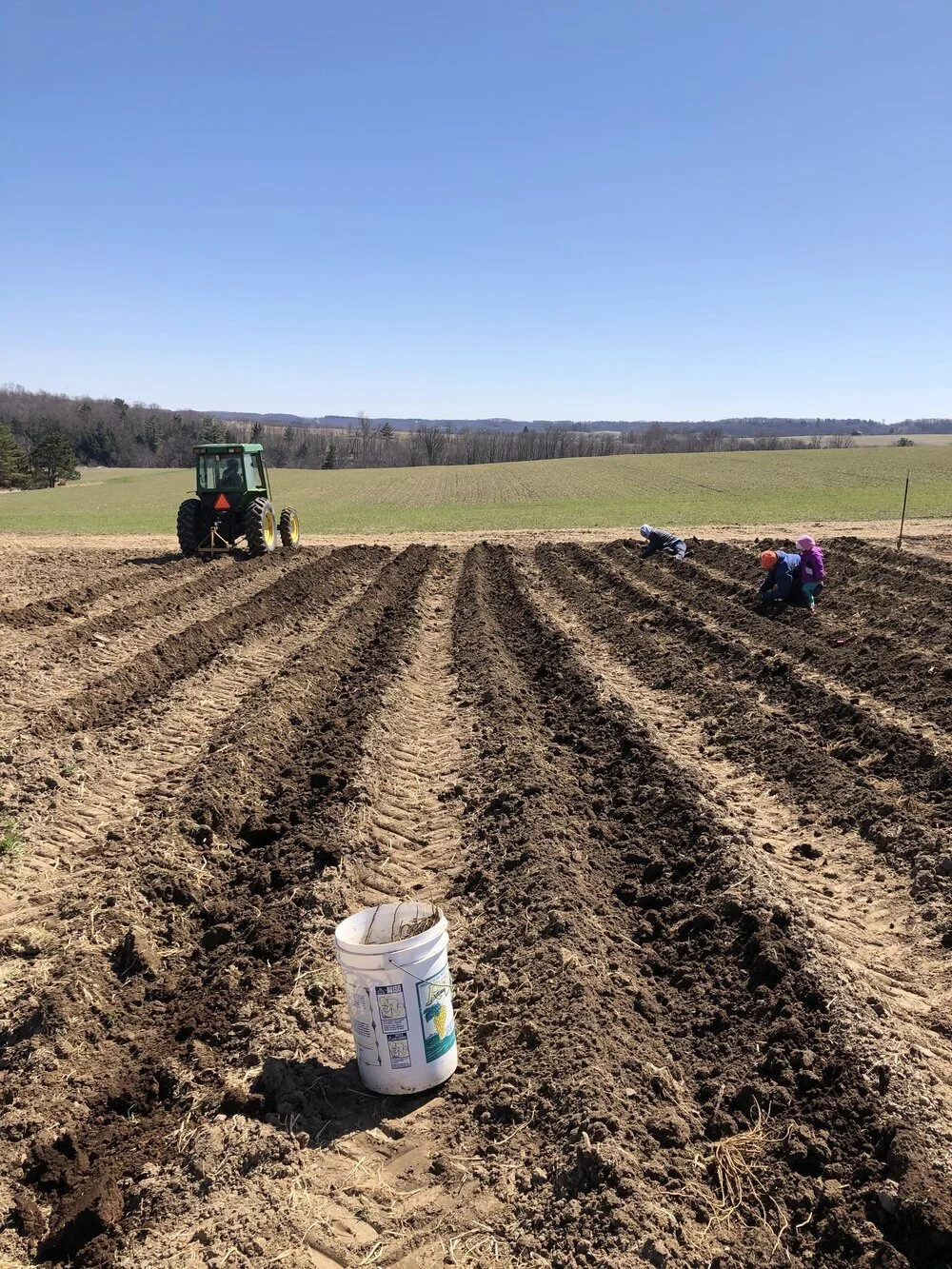 Gallery — Meadowlark Community Farm