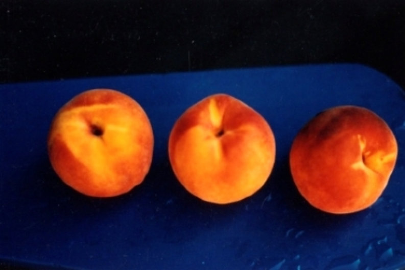 Peaches
