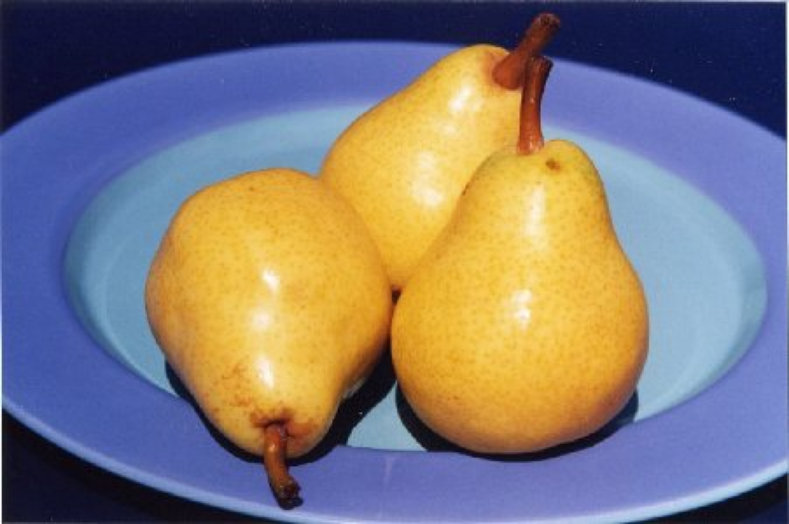 Pears II