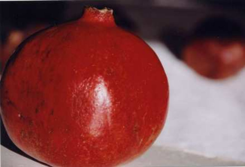 Pomegranate