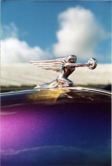 Figurehead I