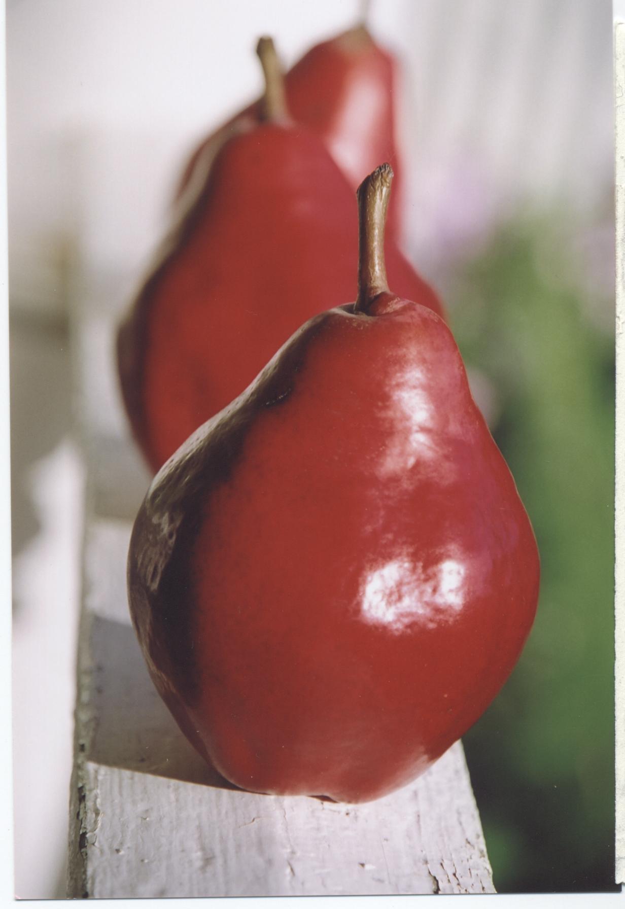 RED PEARS