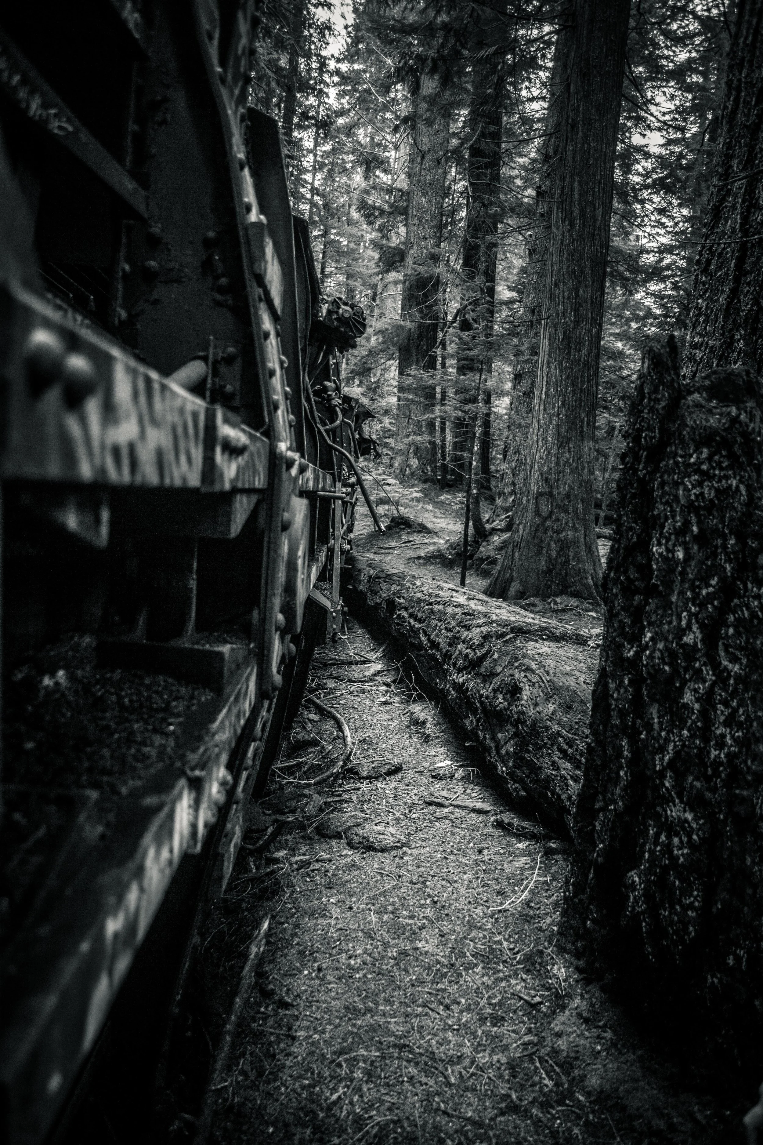 Train Wrecks - Whistler