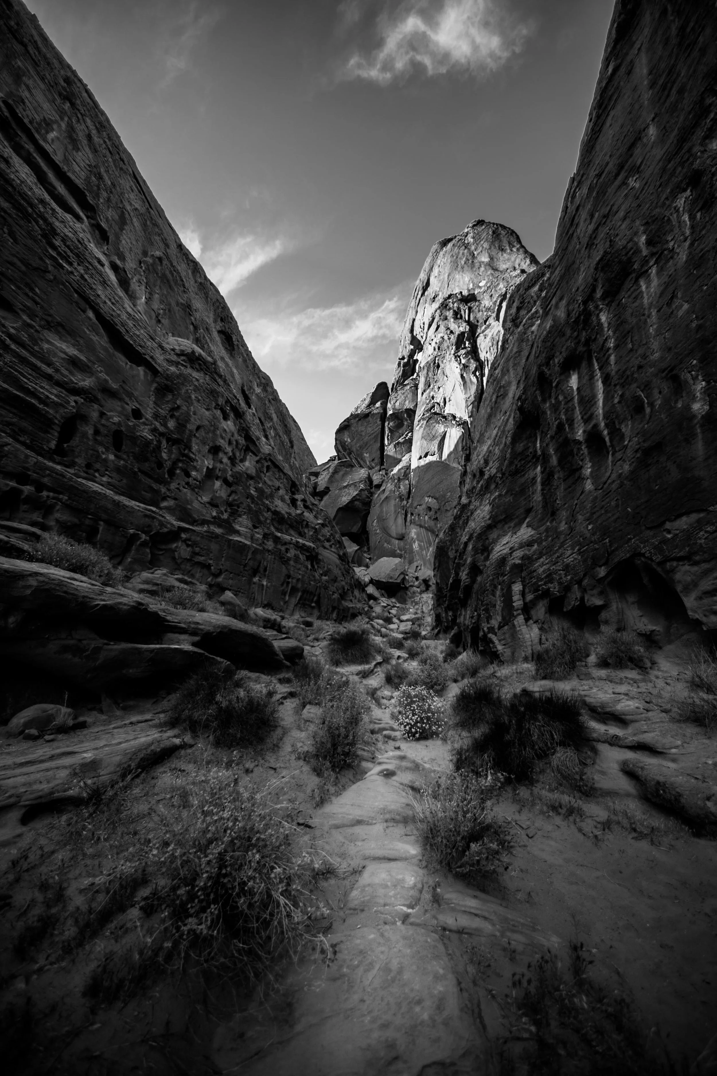 Valley of Fire - Nevada