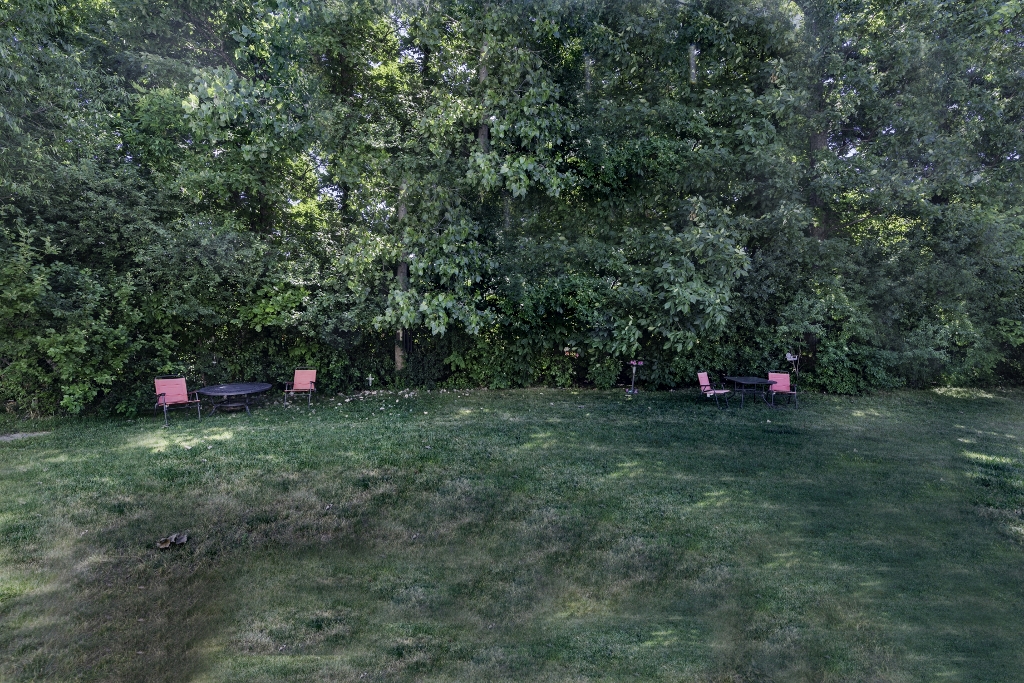 back yard.jpg