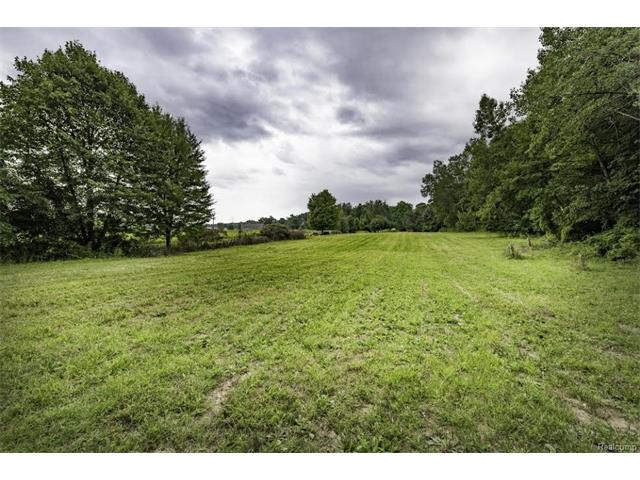 6520 CROFOOT Road, Iosco Twp 48843 - Backyard