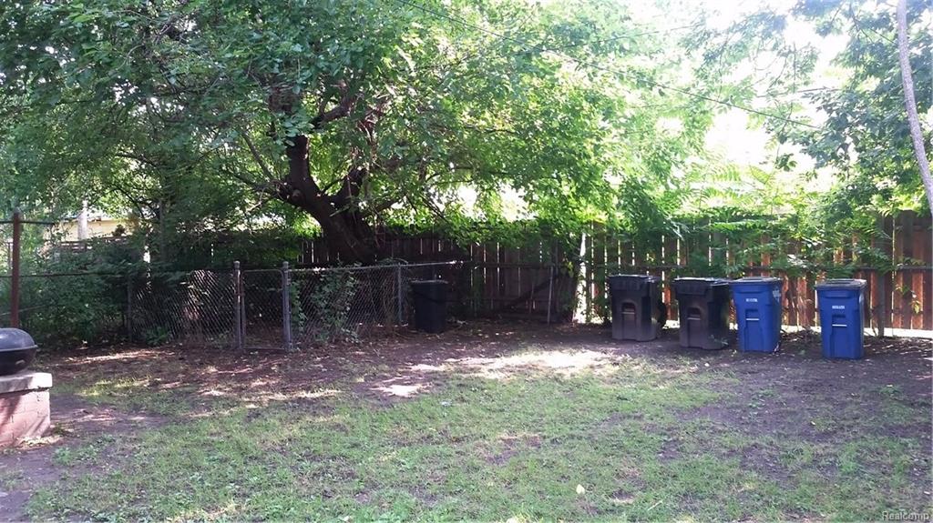 Backyard 3.jpeg