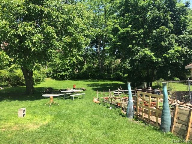 Backyard 2.jpeg