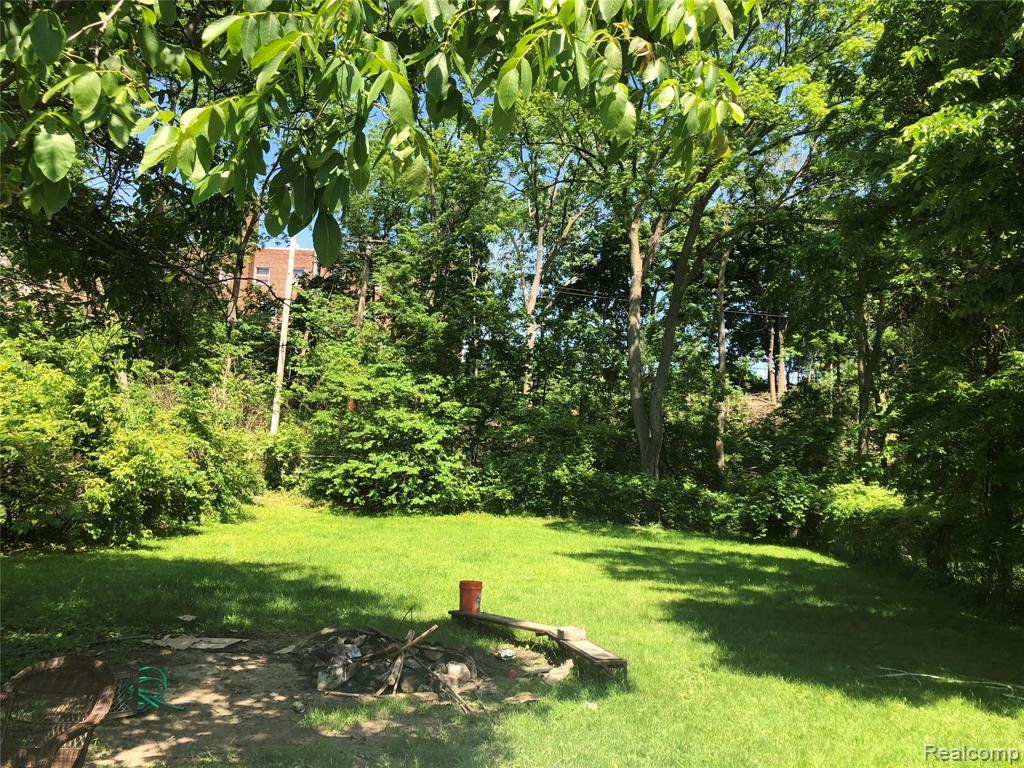 Backyard 4.jpeg