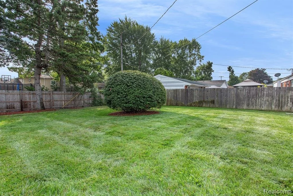 Backyard.jpeg