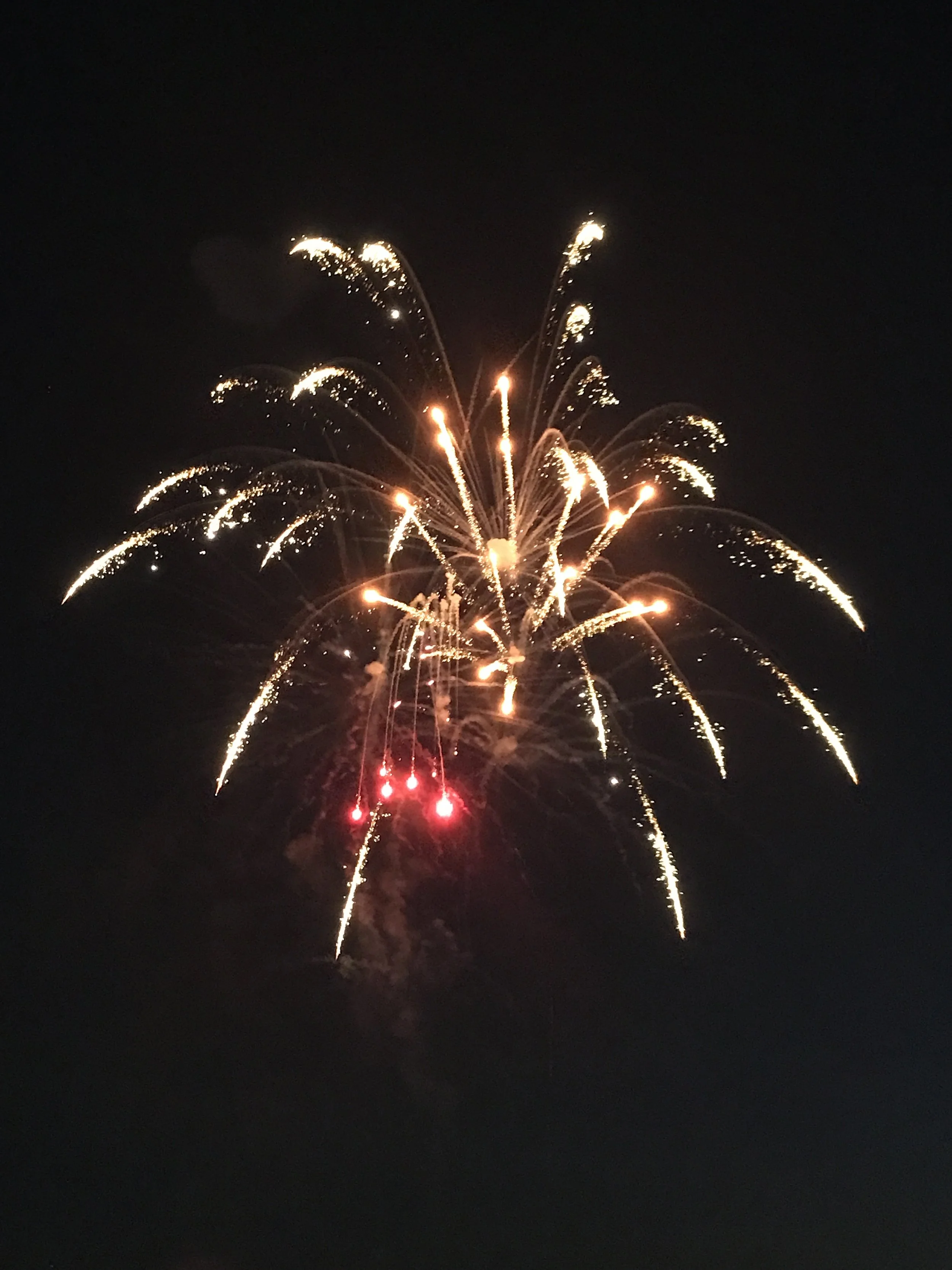 EED4426F-0012-40AB-B16B-350974C5C8E8.jpeg