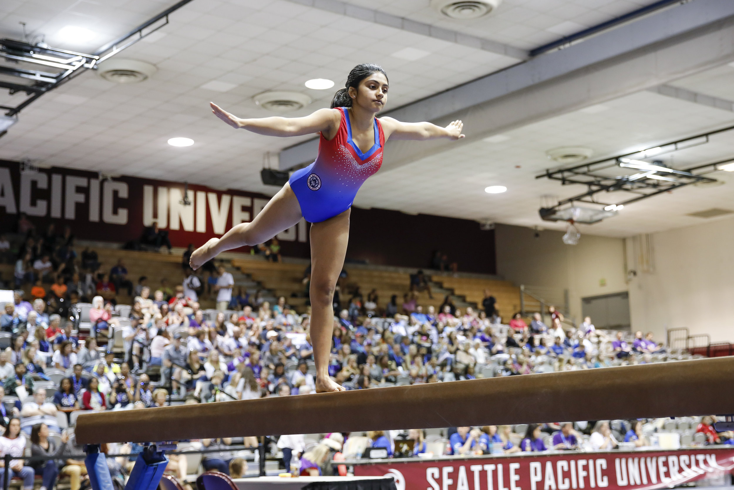 20180703_MCatini_Gymnastics-8977_Marco Catini.jpg