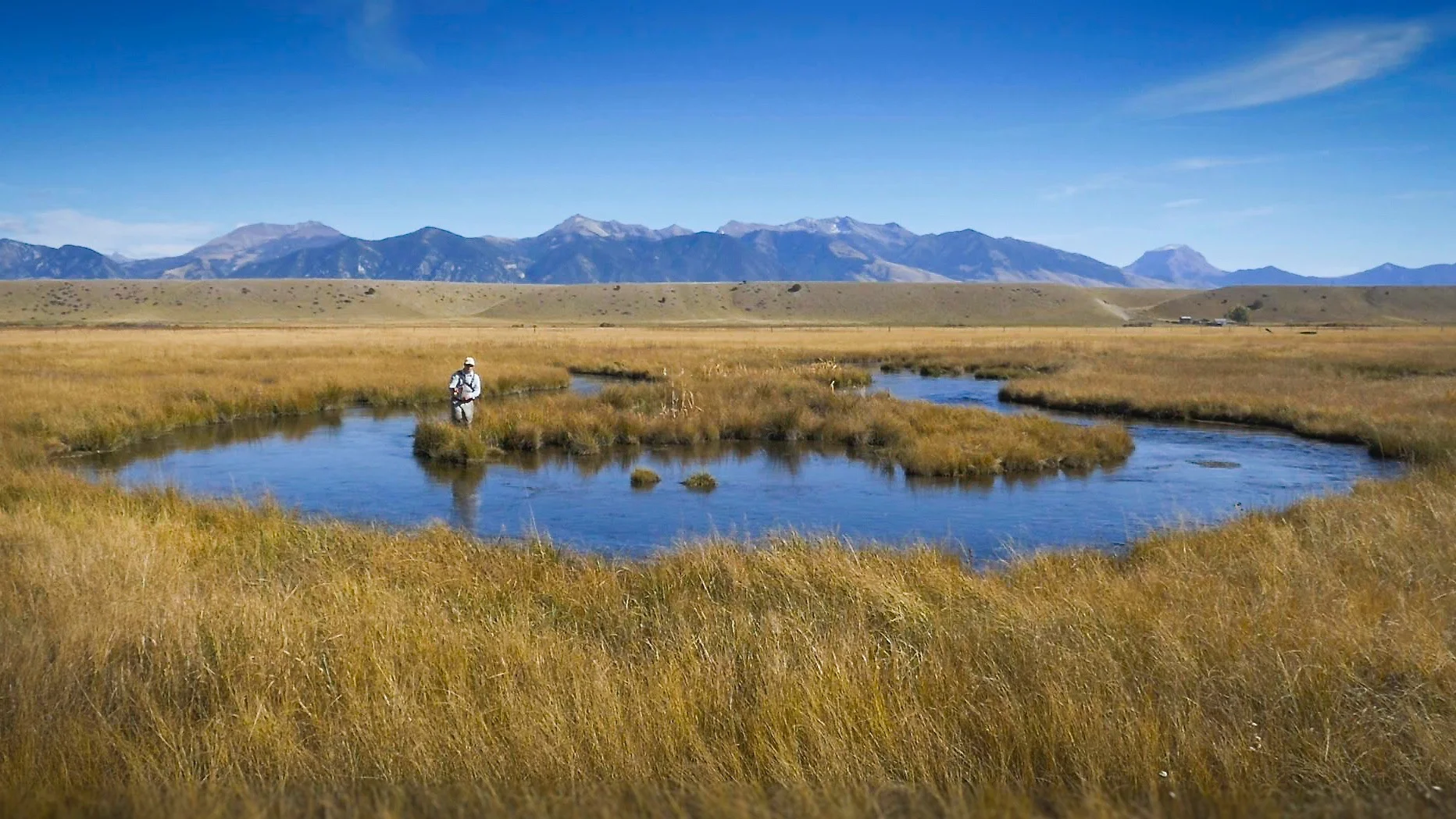 SCREEN GRAB - TODD OXBOW copy.jpg