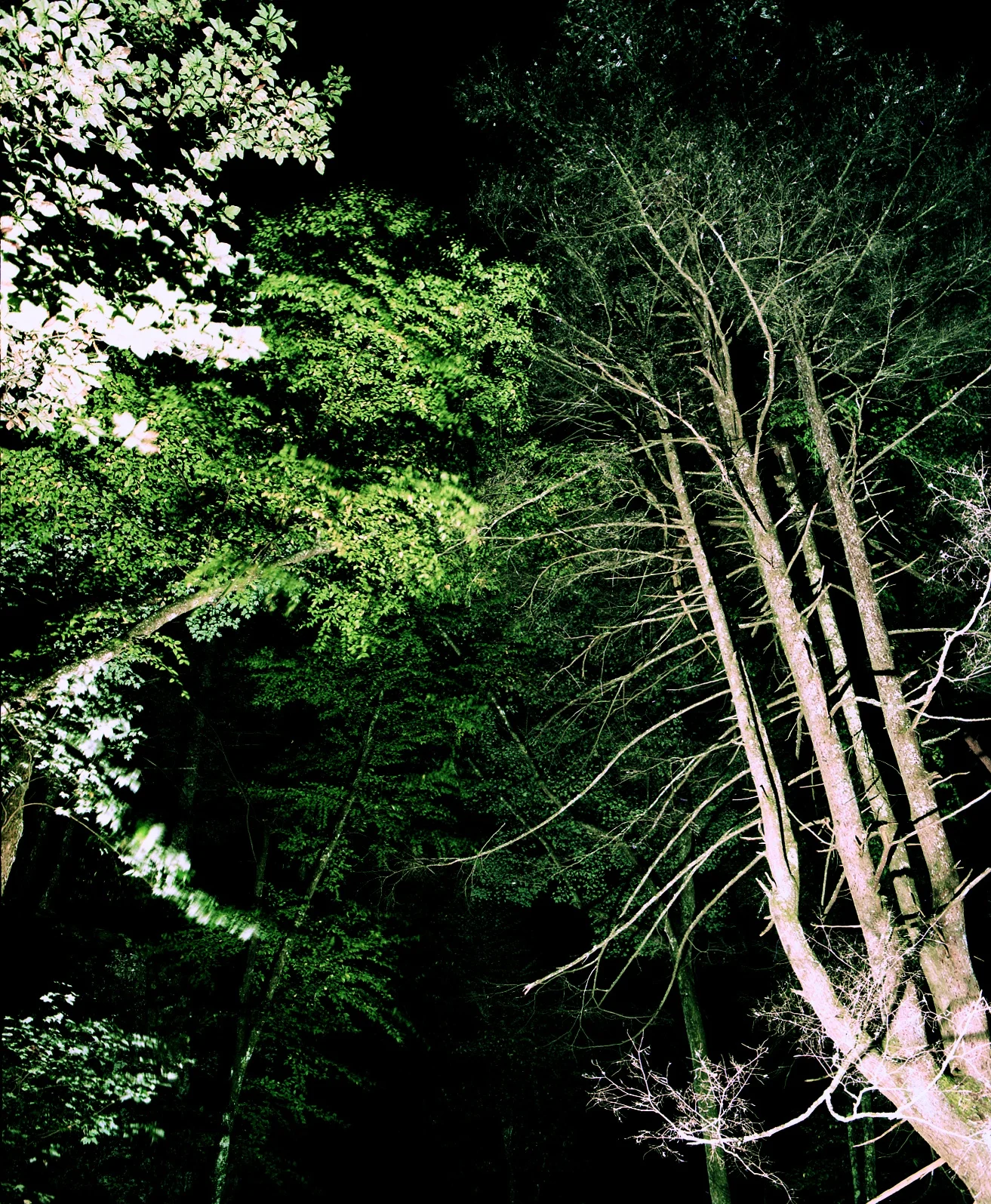 Blue Hole at Night, Elizabethton, TN. 2013. C-Print.