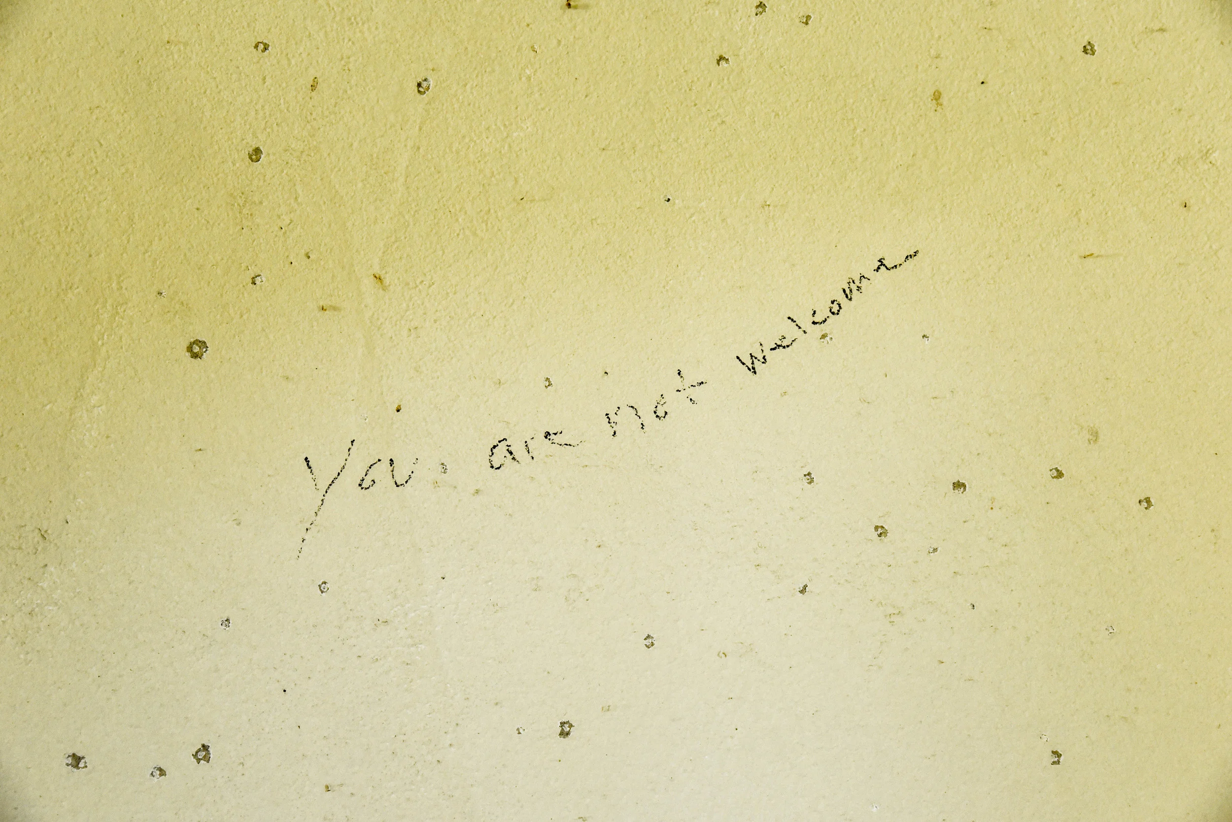 You Are Not Welcome, Roan Mountain, TN. 2016. Digital Image.