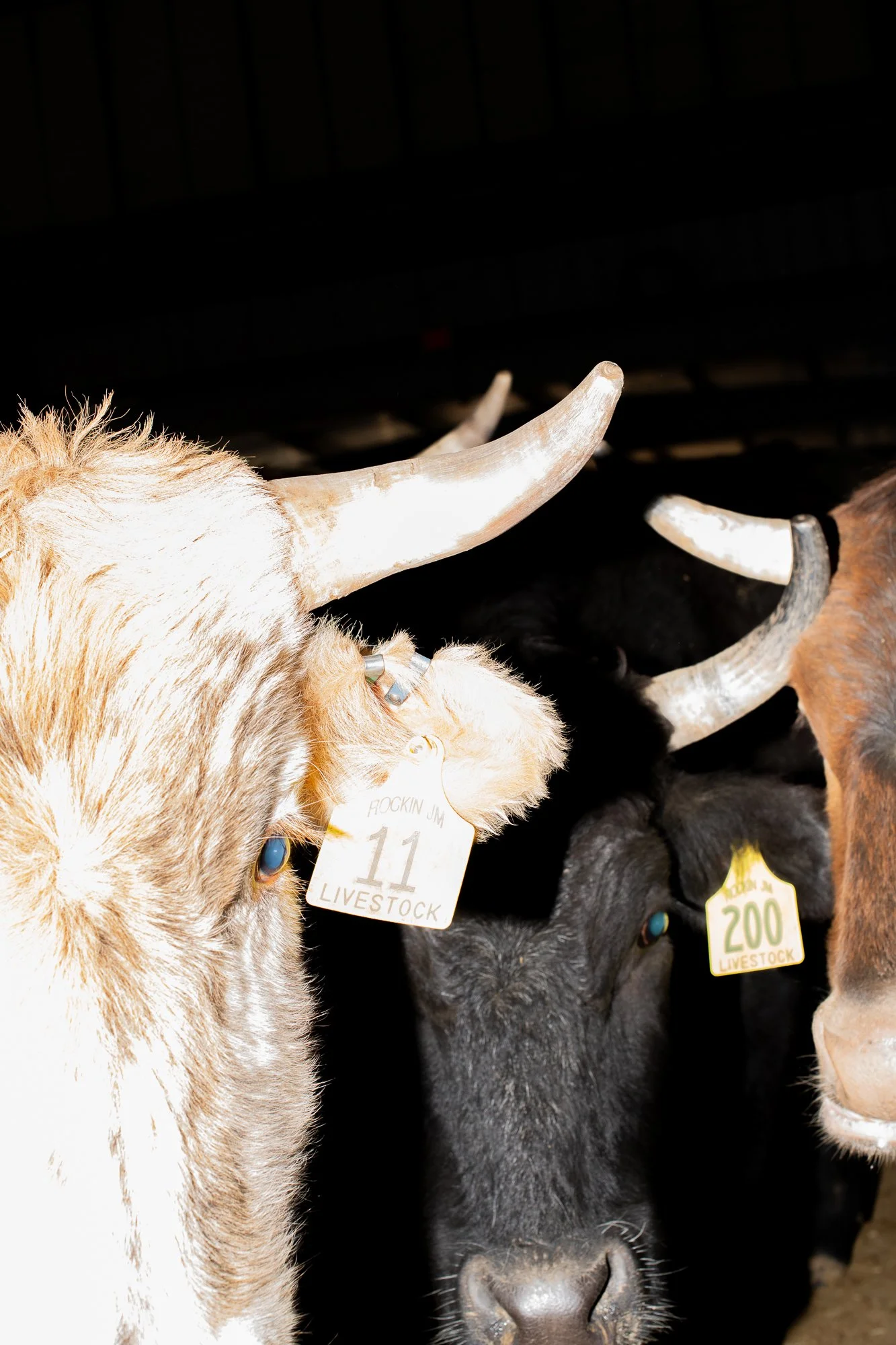 Rodeo_Spring 2026_Lake Charles-04.jpg