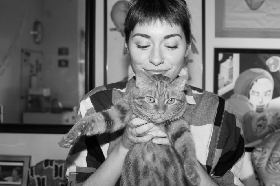 cat.png