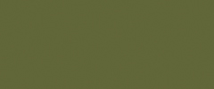 PANTONE 18-0107 Kale Evocative of the great outdoors and a healthy lifestyle, Kale is another foliage-based green that conjures up our desire to connect to nature, similar to the more vivacious Greenery. And, just as we see in nature, this lush and fertile natural green shade provides the perfect complementary background to the more vibrant tones in the palette.