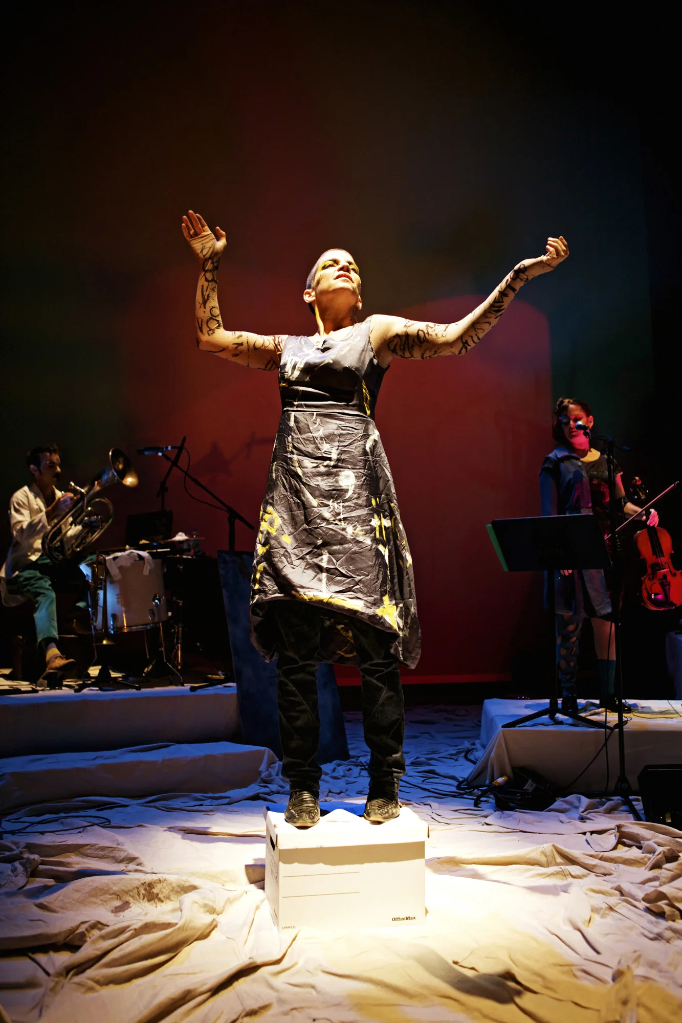 necessary-monsters-carla-kihlstedt-rinde-eckert-allen-willner-on-box.jpg