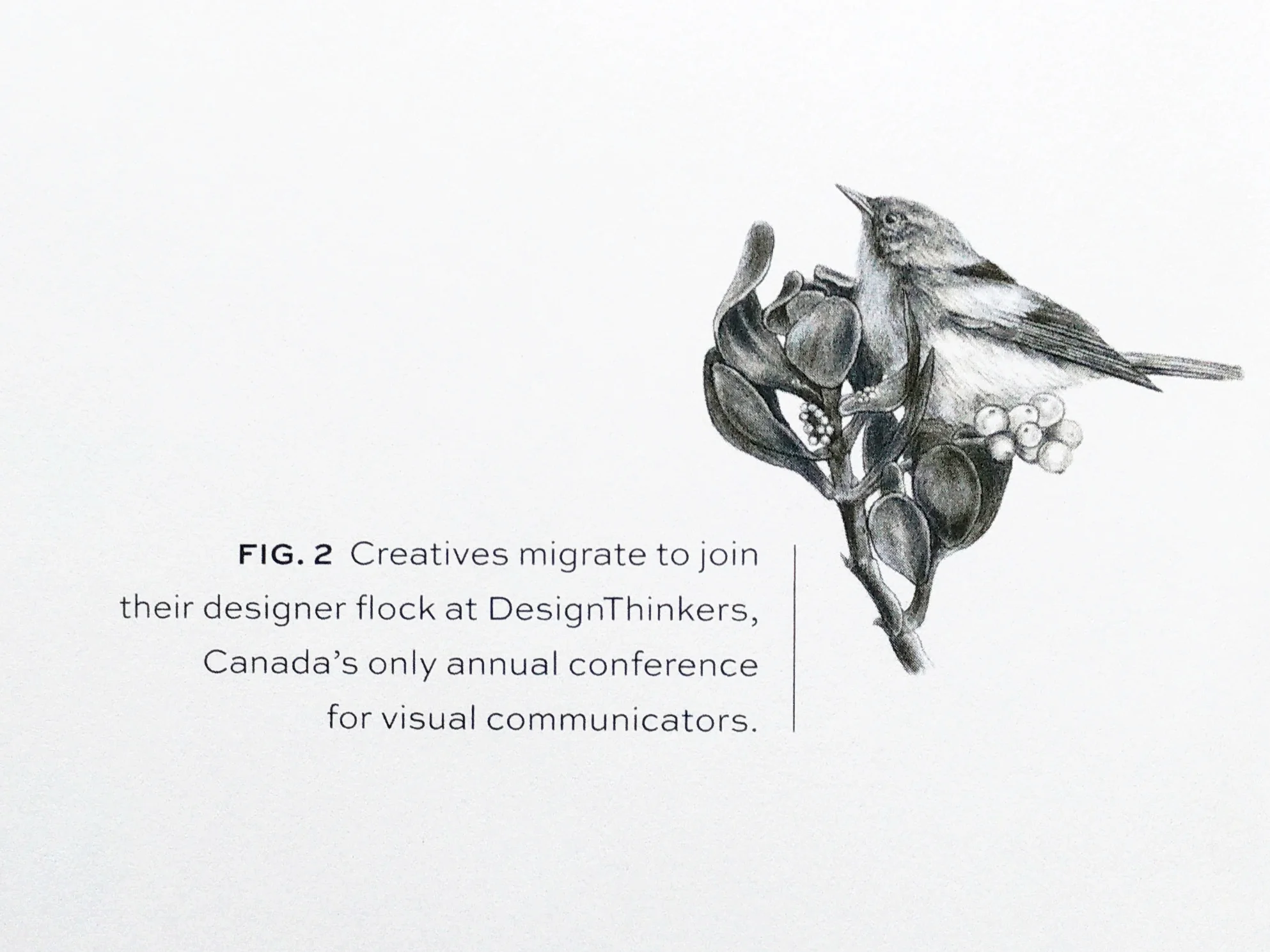 detail_warbler.jpg