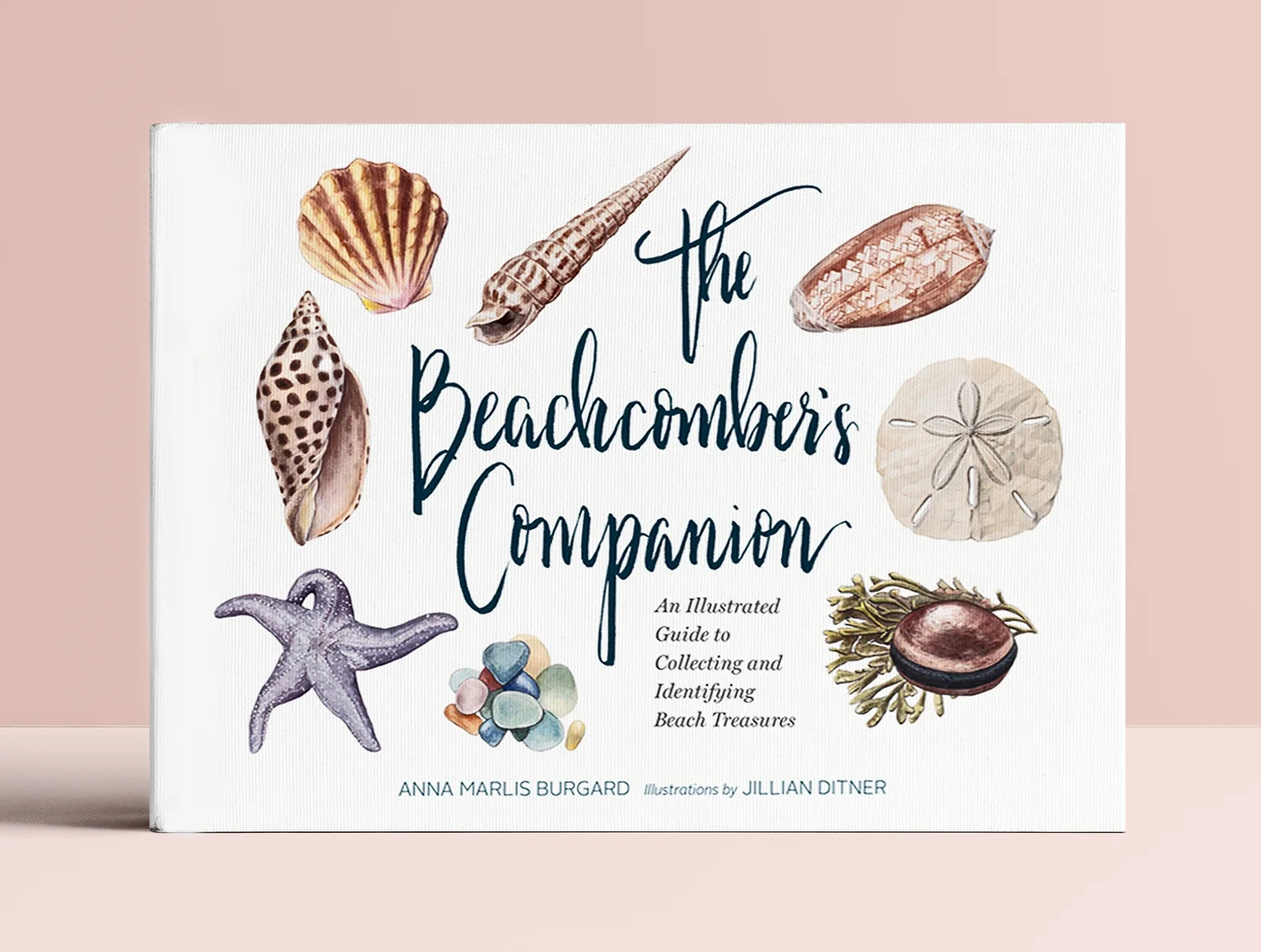 coverBeachcomber_JillianDitner.jpg