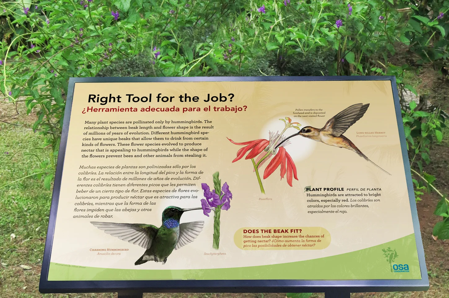 Botanical Garden Interpretive Design