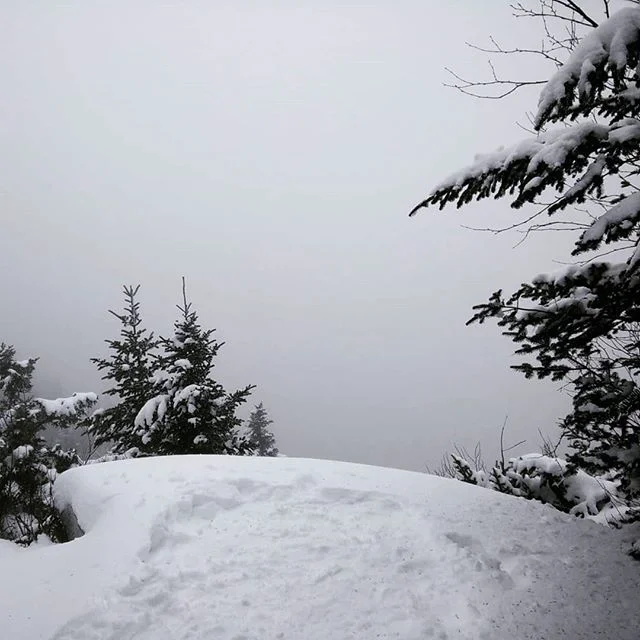 2.5 hour hike up to the summit for this amazing view...there's a beautiful vista somewhere beyond all that fog!