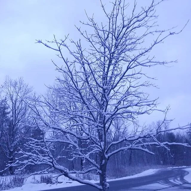 No filter, just really weird end-of-day light

#nofilter #winter #november #snow