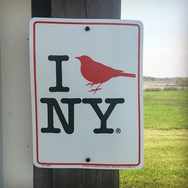 A little birding in some pretty reserves in upstate today