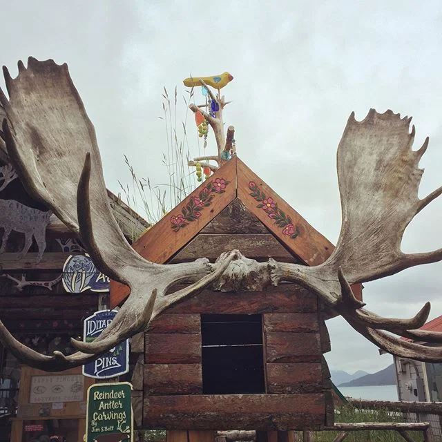 First time in Alaska! Had time to check out a glacier and some wildlife spots before the AOS conference started this week. Beautiful views just outside of Anchorage! #alaskabirding #alaska #americanornithologicalsociety #scicomm